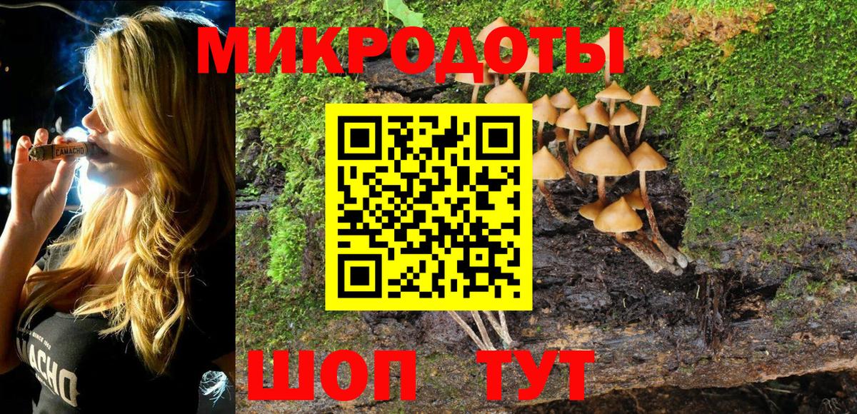 Псилоцибиновые грибы Psilocybe Фрязино